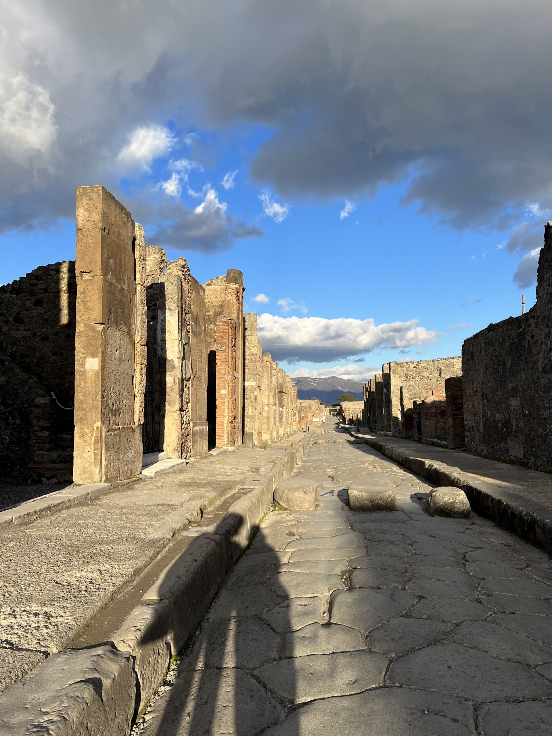 SCAVI DI POMPEI